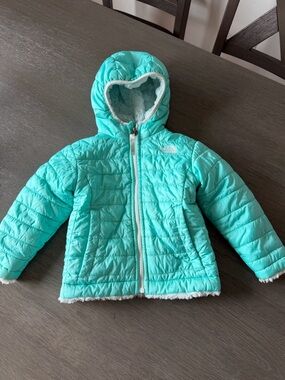 The North Face Girls' Turquoise Hooded Puffer Jacket